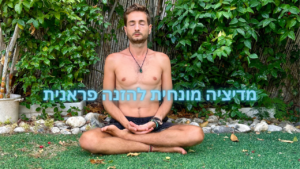 מדיטציה להזנה פראנית- ניקוי, טיהור והזנת הגוף. תרגילי אנרגיית החיים- רגילי צריכת פראנה