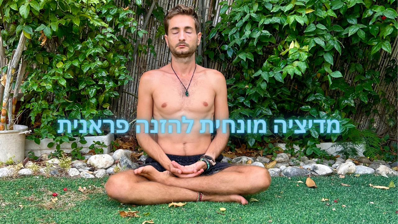 מדיטציה להזנה פראנית- ניקוי, טיהור והזנת הגוף. תרגילי אנרגיית החיים- רגילי צריכת פראנה